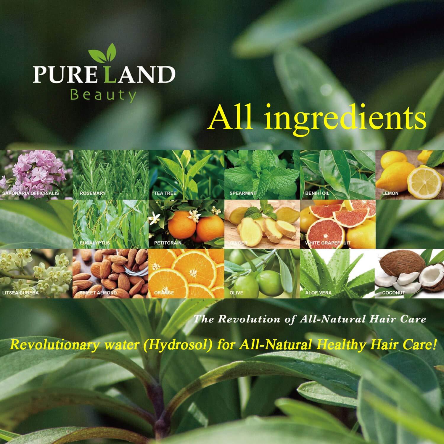 PURELAND Pureland Beauty Restore Daily Conditioner - Natural Hair Conditioner for Normal to Fine Hair - Sulfate-Free and Plant-Based - 8.5 oz