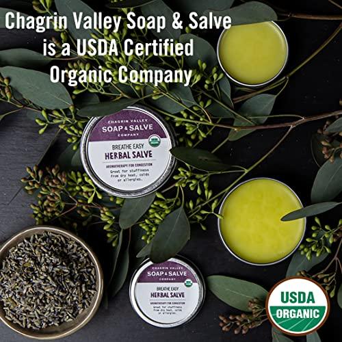 Chagrin Valley Soap & Salve Chagrin Valley Soap & Salve Organic Natural Shampoo Bar - Herb Garden (1 Bar)