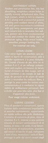 June Jacobs June Jacobs Lightweight Lotion, 1.6 Fl Oz