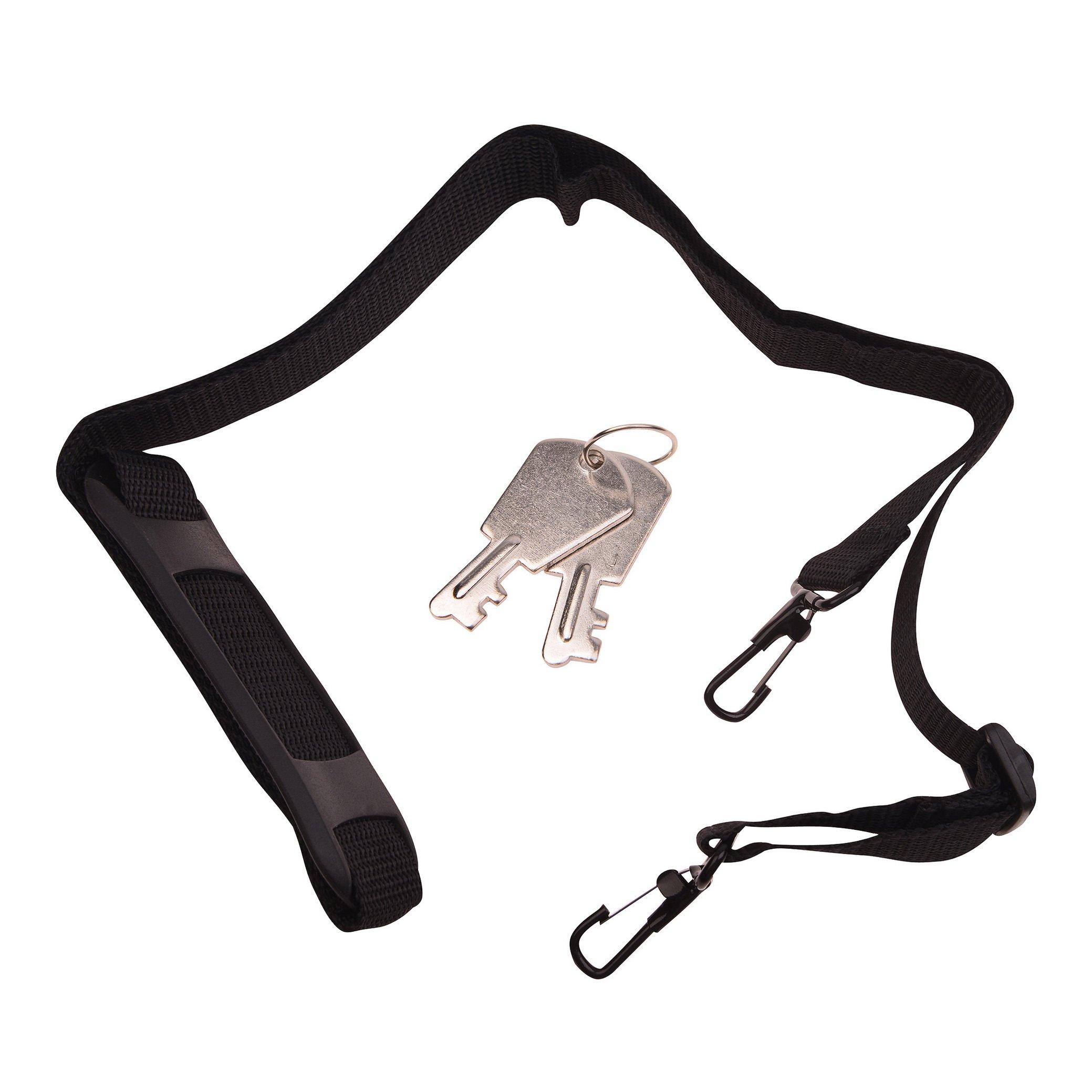 SHANY SHANY Essential Pro Makeup Train Case Cosmetic Box Portable Makeup Case Cosmetics Beauty Organizer Jewelry storage with Locks, Multi Compartments Makeup Box and Shoulder Strap - Silver