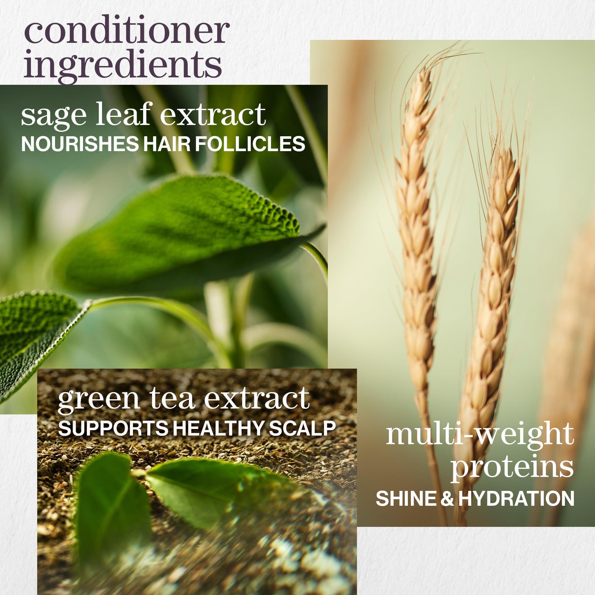 Pureology Pureology Hydrate Moisturizing Shampoo and Conditioner Set | Softens and Deeply Hydrates Dry Hair | For Medium to Thick Color Treated Hair | Sulfate-Free | Vegan