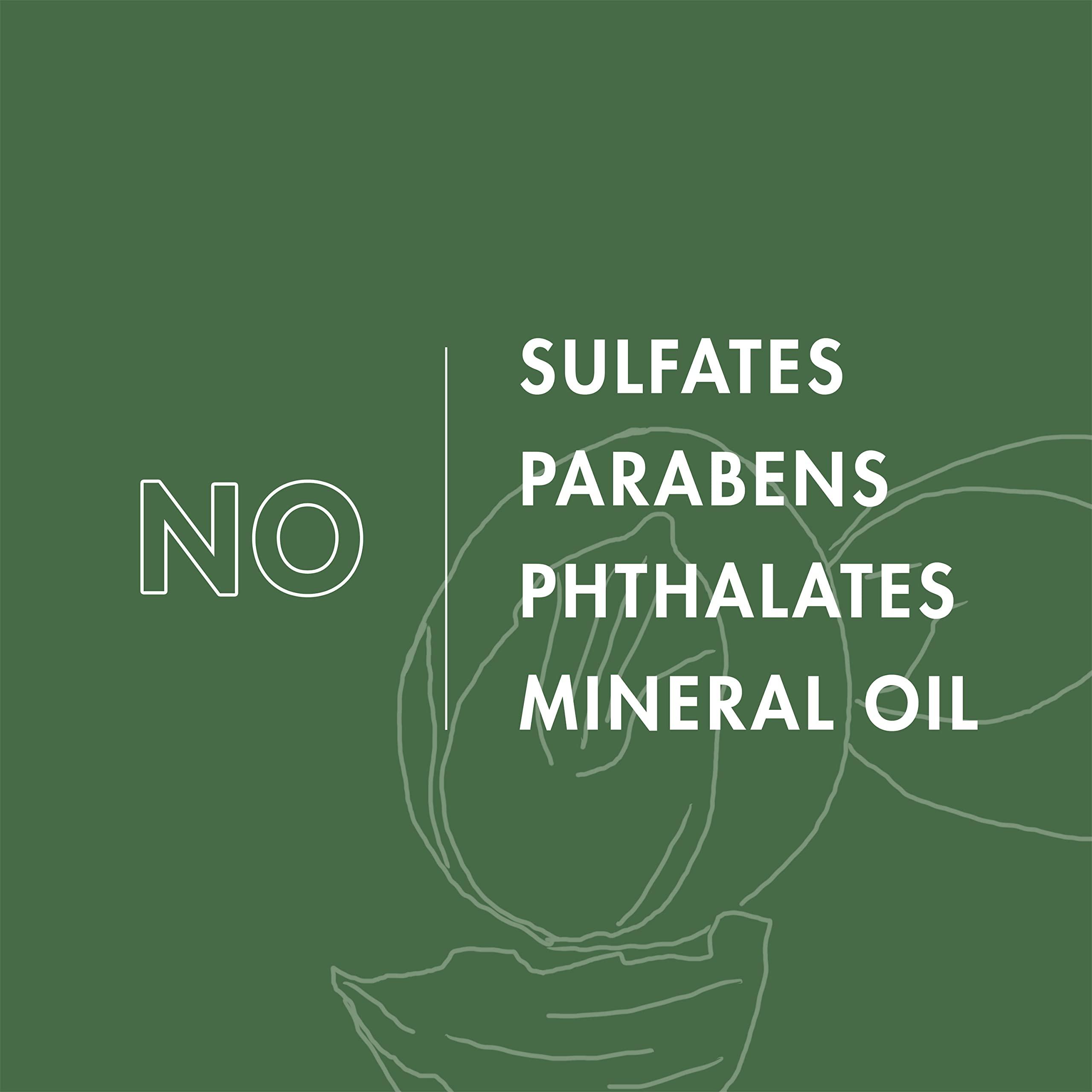 SheaMoisture Shea Moisture Mens Full Beard Detangler, All Natural ingredients, Maracuja Oil & Shea Butter, Soften Hair & Ease Out Knots for a Scuff-Free Beard, 4 Ounce