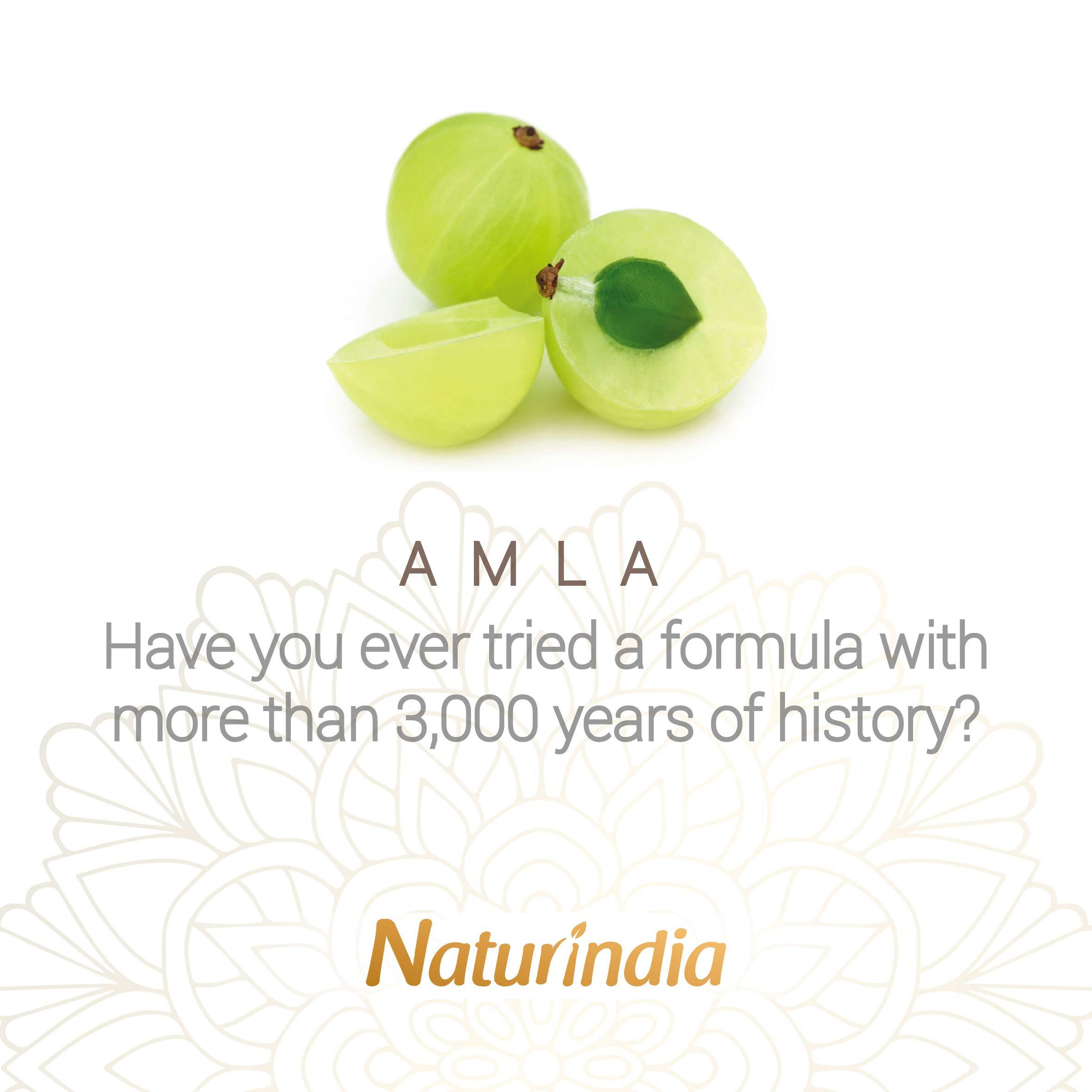 Naturindia Ayurvedic Shampoo & conditioner with Organic Amla and Shikakai for hair growth and restauration for stronger hair Natural herbs Vitamin C and B