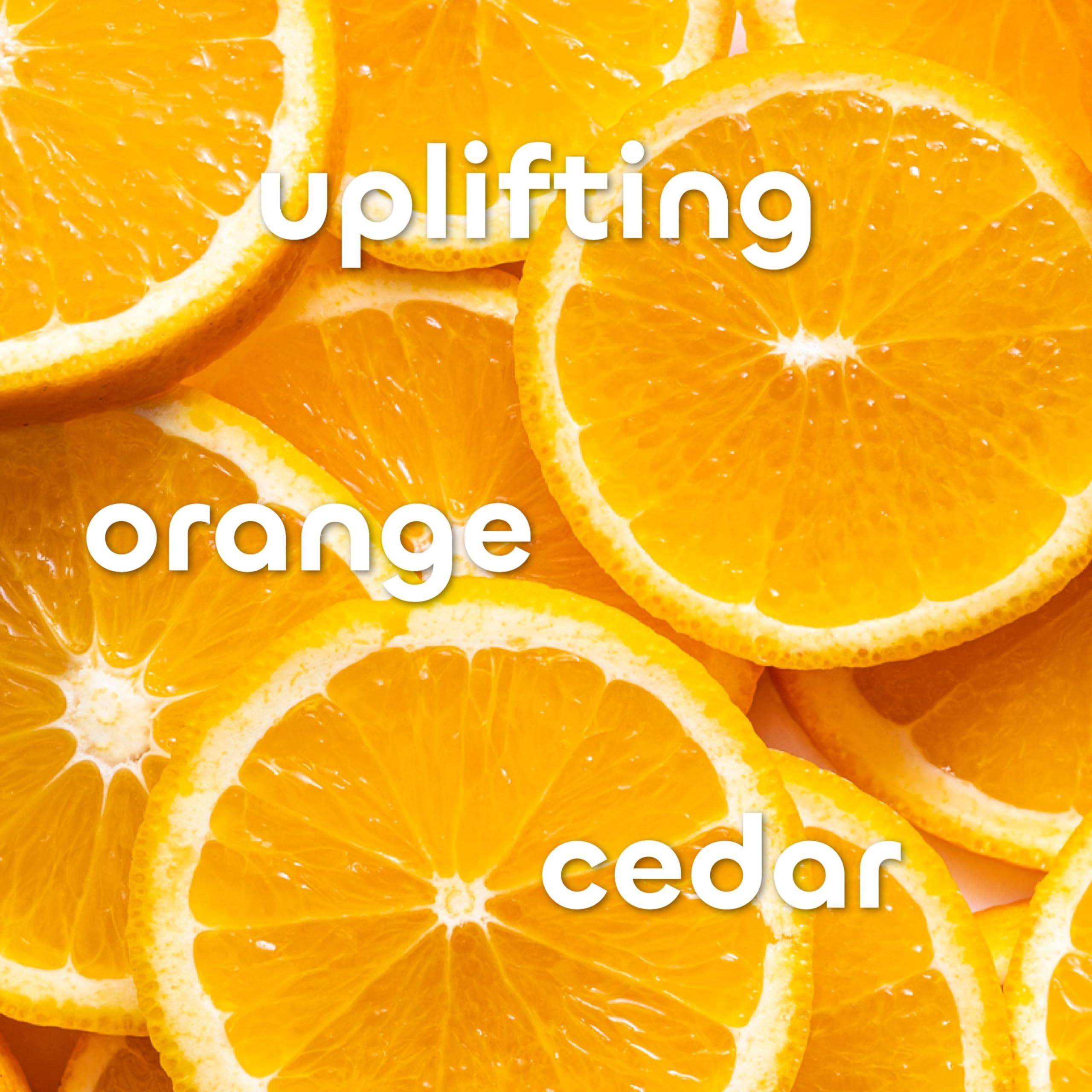 The Seaweed Bath Co. Seaweed Bath Co. Detox Body Wash, Orange Cedar Scent, 12 Ounce, Shower Gel for Men & Women, Vegan, Paraben Free, Sulfate Free, Cruelty Free