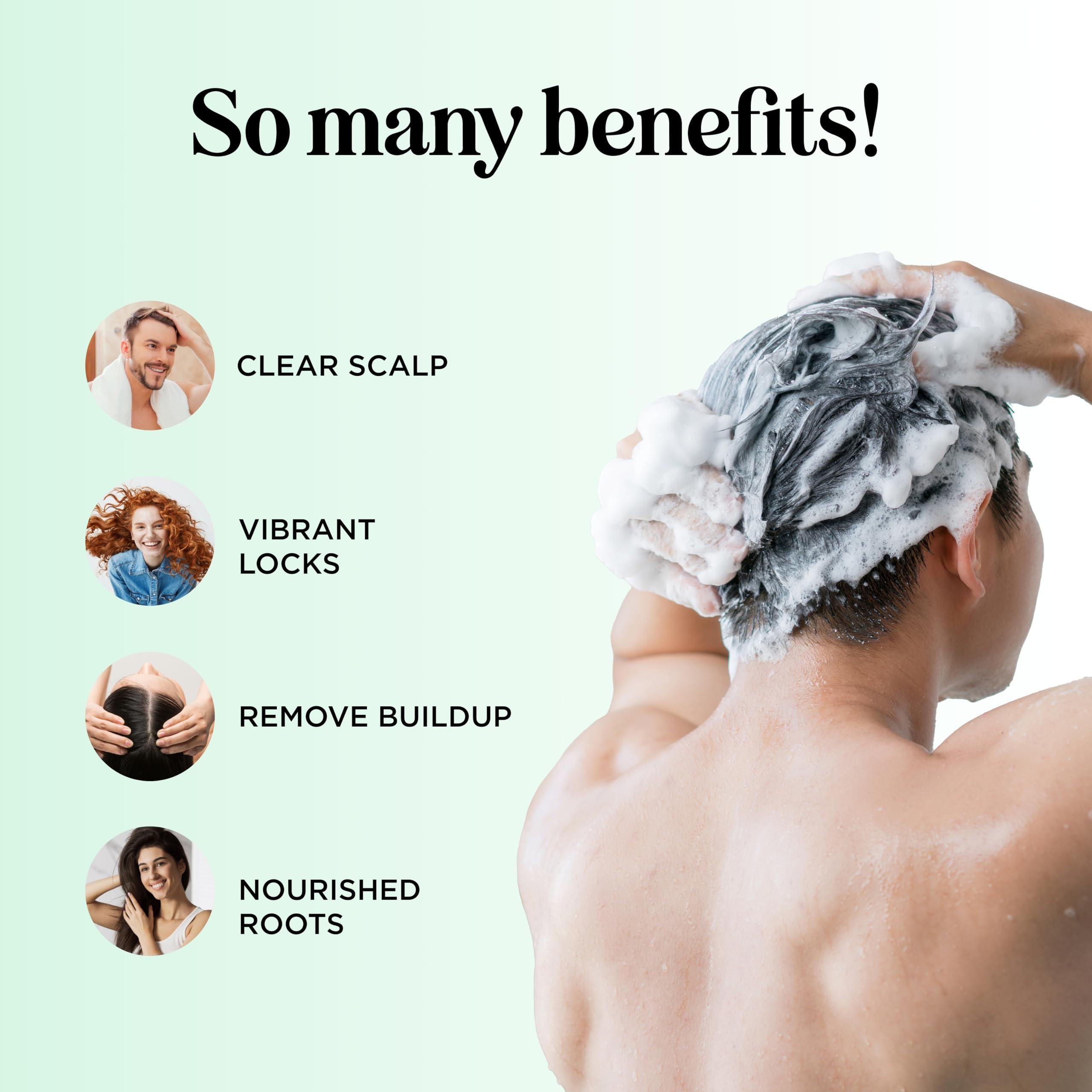 Maple Holistics Clarifying Shampoo for Oily Hair and Scalp - Deep Cleansing Shampoo Build Up Remover with Rosemary Oil - Degrease Shampoo for Greasy Hair & Scalp - Vegan Color Safe Sulfate & Paraben Free (16 Fl Oz)