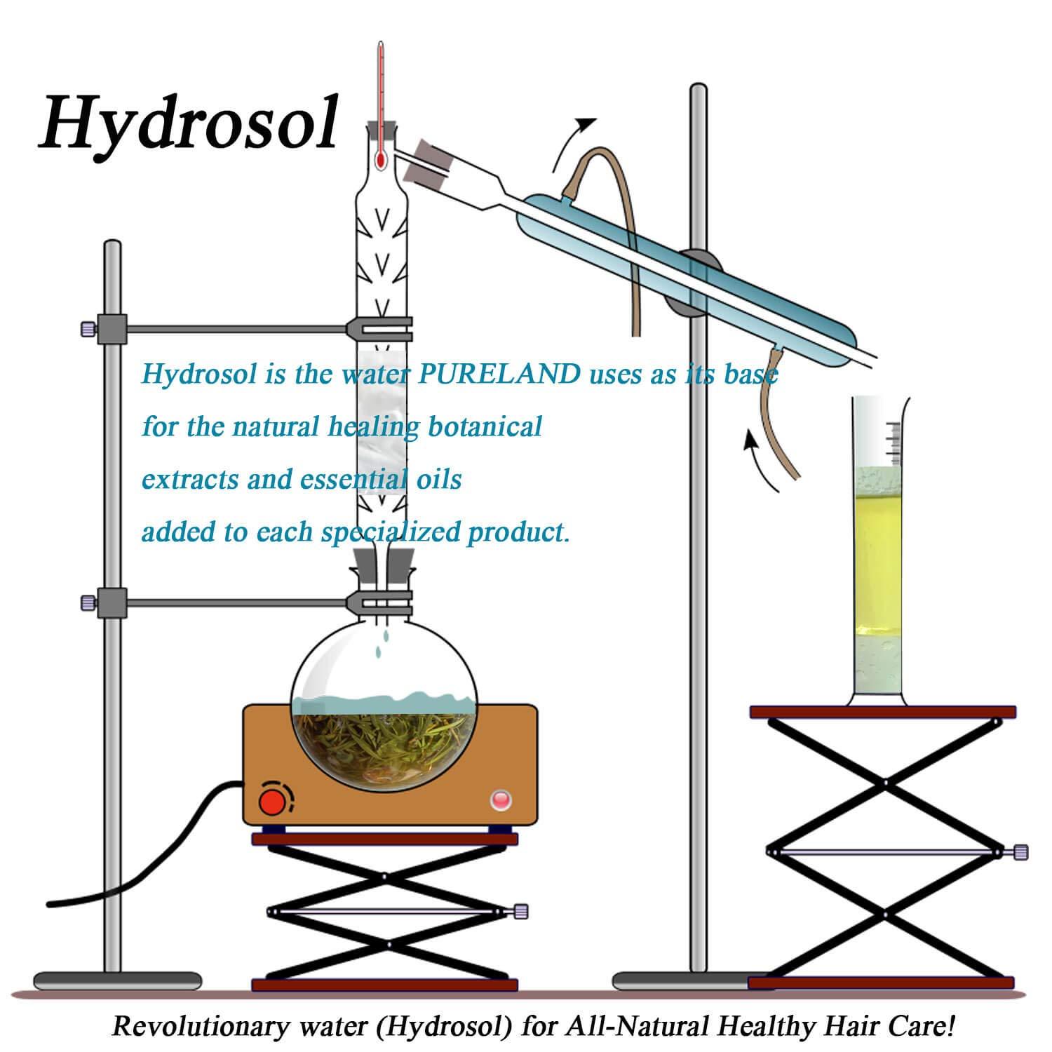 PURELAND Pureland Beauty Restore Daily Conditioner - Natural Hair Conditioner for Normal to Fine Hair - Sulfate-Free and Plant-Based - 8.5 oz