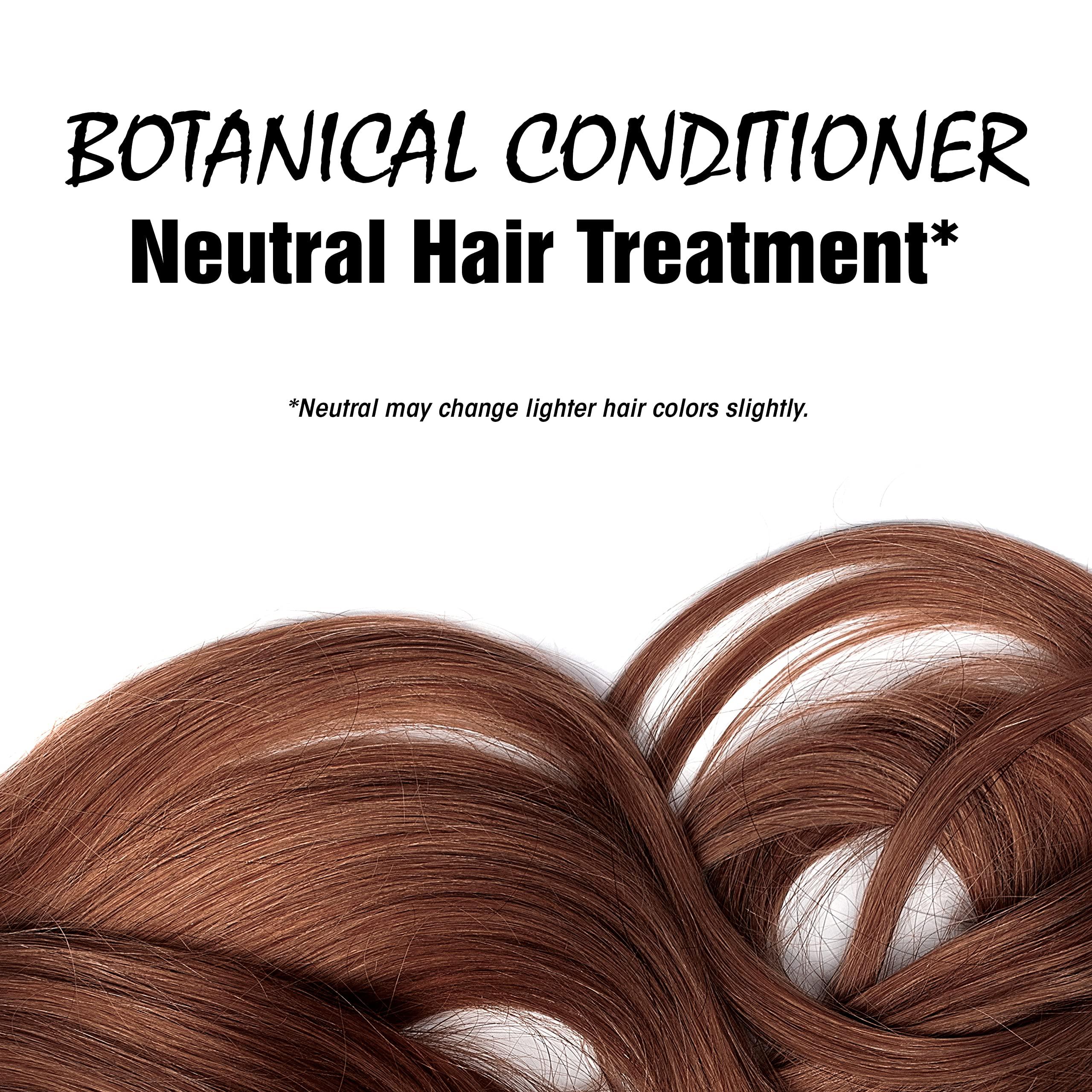 LIGHT MOUNTAIN LIGHT MOUNTAIN Neutral Henna Hair Dye & Conditioner 3-Pack Natural Shine & Conditioning, 4 Oz Ea