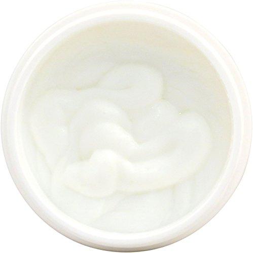 Eclectic Lady Eclectic Lady Plumeria Satin and Silk Cream, Body Cream, Body Lotion, 2 oz - Shea Butter, Aloe, Silk Amino Acids, Vitamin E, Phthalate-Free, Handcrafted in USA - Perfect For Women