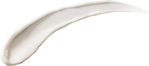 Burt's Bees Burt's Bees Skin Nourishment Day Lotion with SPF 15 for Normal to Combination Skin, 2 Oz (Package May Vary)