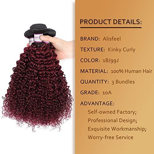 ALISFEEL Ombre Dark Red Curly Weave Human Hair 3 Bundles 99J Brazilian Curly Hair 100g/Bundles Burgundy Kinky Curly Human Hair Extensions for Black Women (18"20"22")