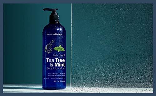 NEW YORK BIOLOGY THE ULTIMATE COSMECEUTICALS New York Biology Tea Tree Body Wash with Tea Tree Mint Body Wash for Men and Women - Helps Jock Itch & Itchy Skin, Nail Fungus, Athletes Foot, Eczema & Body Odor, Ringworms – 16 Fl Oz