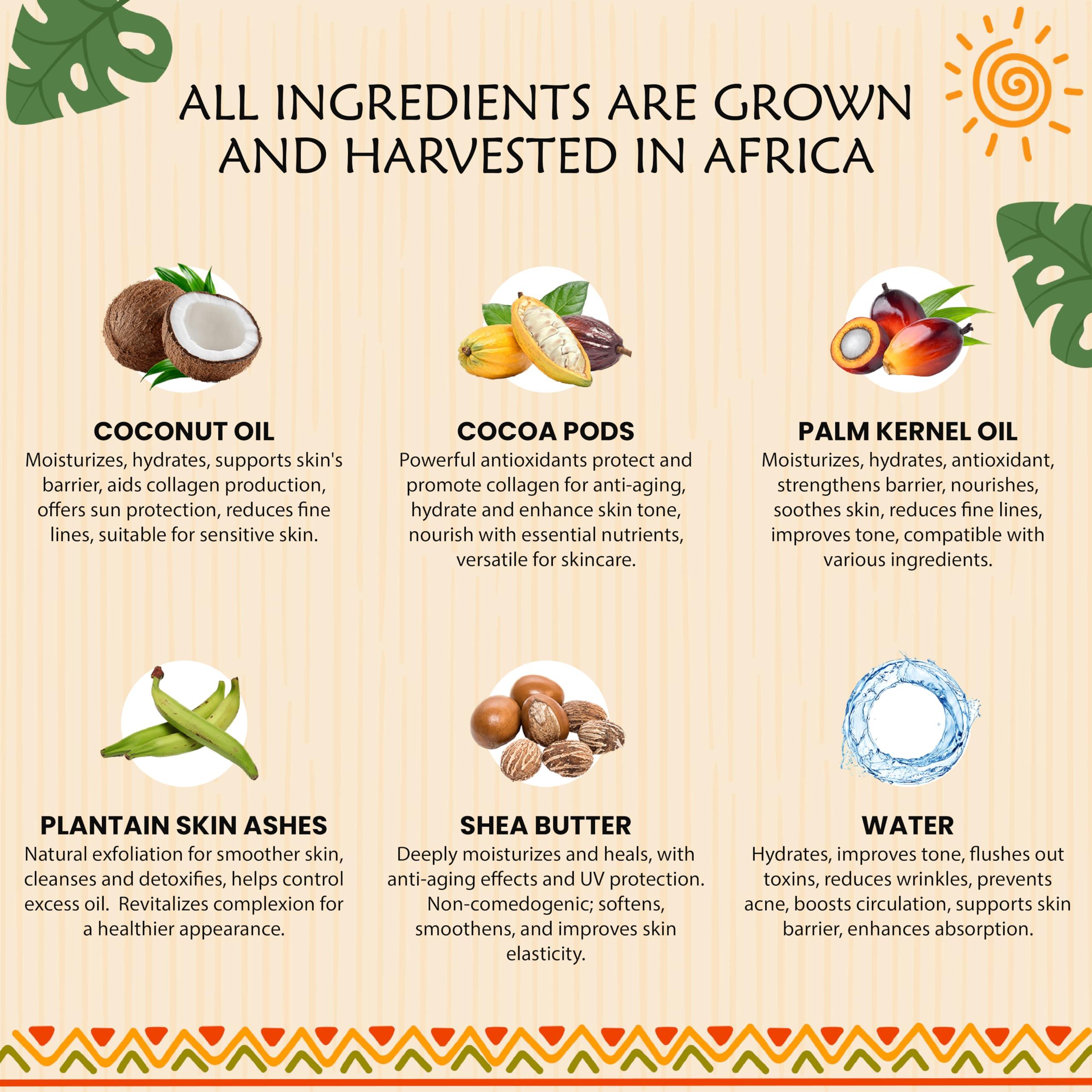 Plant Guru African Black Soap Liquid Half Gallon - 100% Raw Pure Natural From Ghana, Acne Treatment, Aids Against Eczema & Psoriasis, Dry Skin, Scar and Dark spot Removal, Pimples and Blackhead, Face & Body Wash