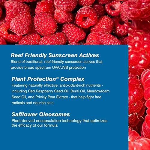 Coola COOLA Organic Face Sunscreen SPF 50 Sunblock Lotion, Dermatologist Tested Skin Care for Daily Protection, Vegan and Gluten Free, White Tea, 1.7 Fl Oz