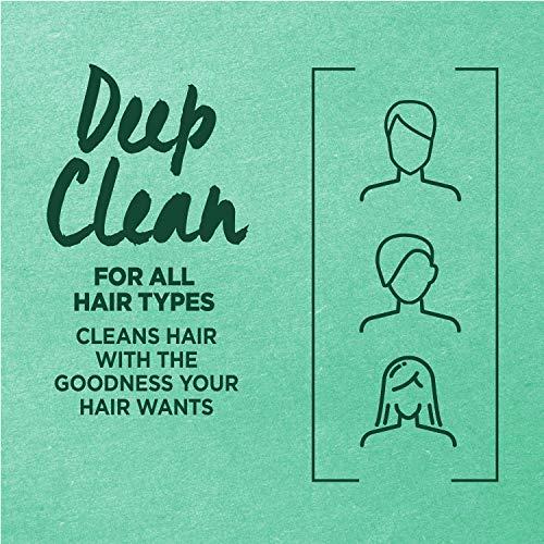 Garnier Garnier Hair Care Fructis Pure Clean Conditioner, 12 Fluid Ounce