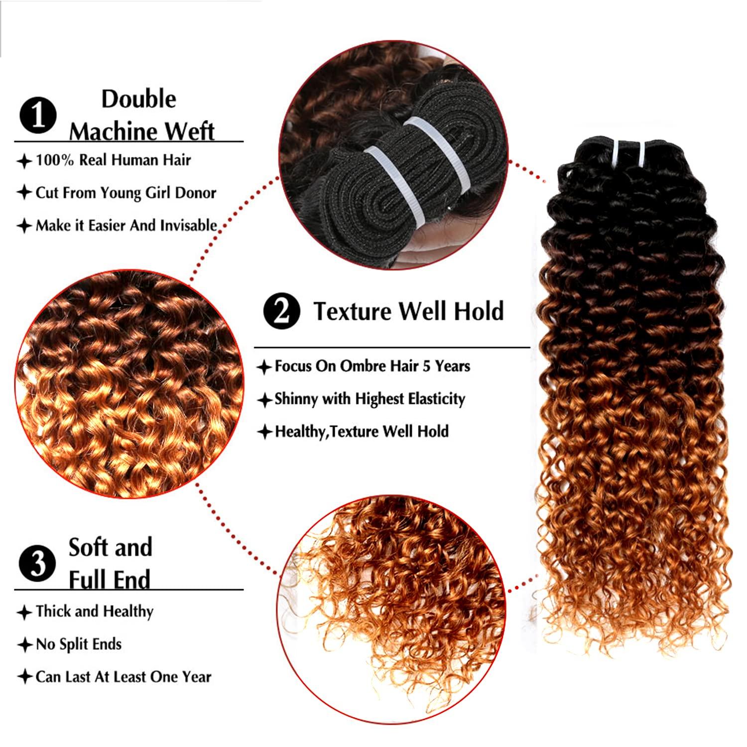 seelaak Seelaak 26inch Ombre Brown Curly Clip in Hair Extensions Brazilian Virgin Remy Hair Kinky Curly Clip Ins Human Hair Extension