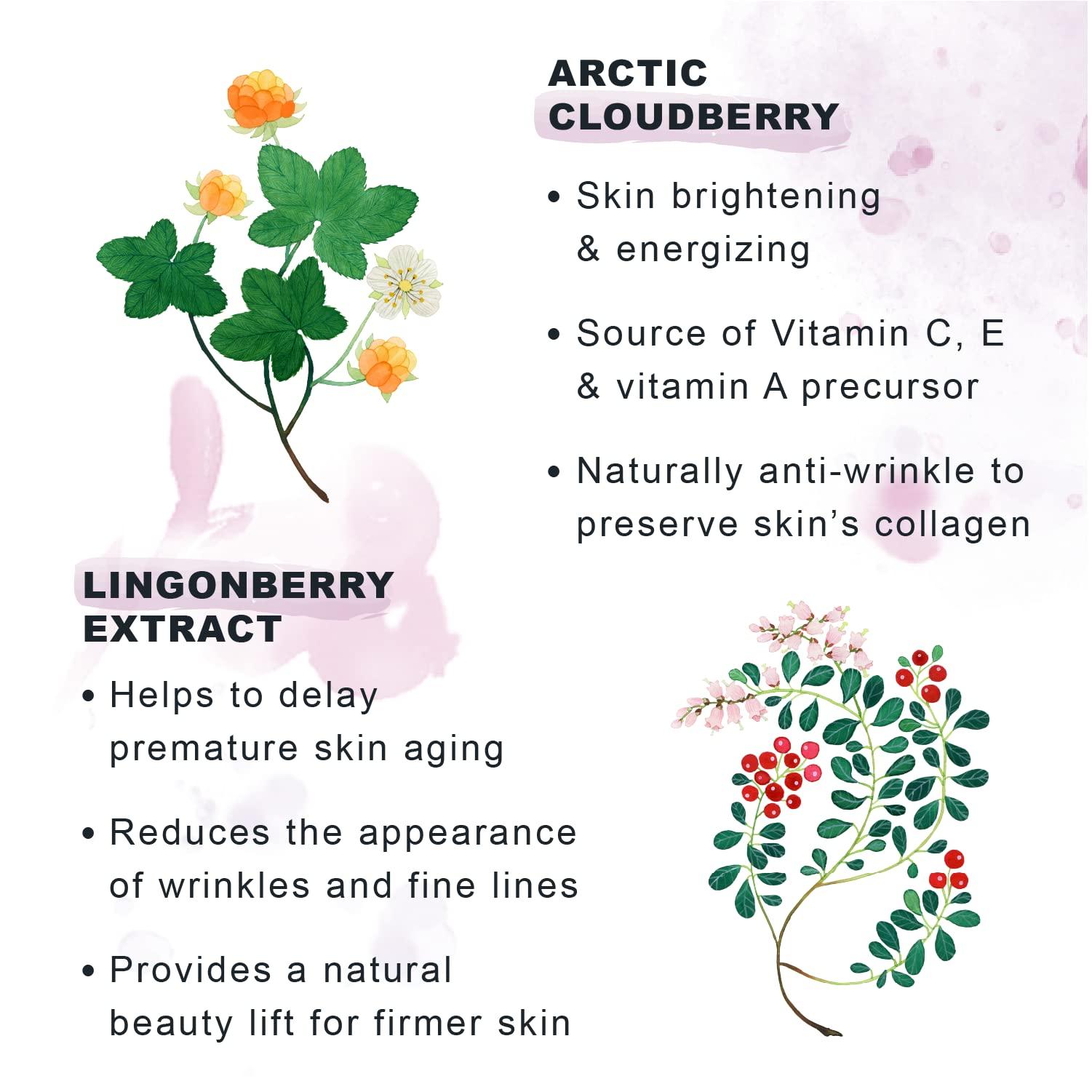 Lumene Lumene Ajaton Radiant Youth Night Cream - Rejuvenating Anti Aging Moisturizer with Antioxidants - Face Cream for Fine Lines and Wrinkles - Skin Firming + Rejuvenating Night Face Cream (50ml)