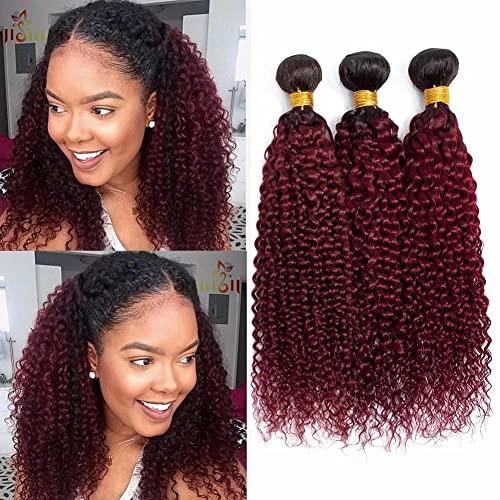 FEEL ME FEEL ME Ombre Curly Weave Human Hair Bundles Premium Brazilian Curly Virgin Hair 3 Bundles Ombre 1b/99j Burgundy Brazilian Deep Curly Hair Bundles(18 20 22)