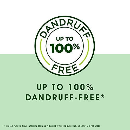 Head & Shoulders Head & Shoulders Neem, Anti Dandruff Shampoo, 340 ml