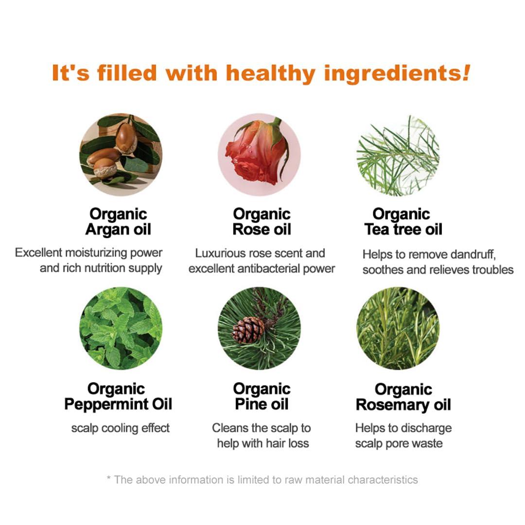 Mielle Mielle Rosemary Mint Strengthening Shampoo w/Biotin 1.75 Fl Oz (Pack of 3)