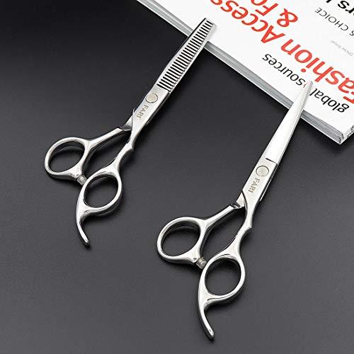 FARI FARI Hair Cutting Scissors Kit, Barber Haircut Thinning Scissors Hairdressing Shears for Salon and Home (Silver)