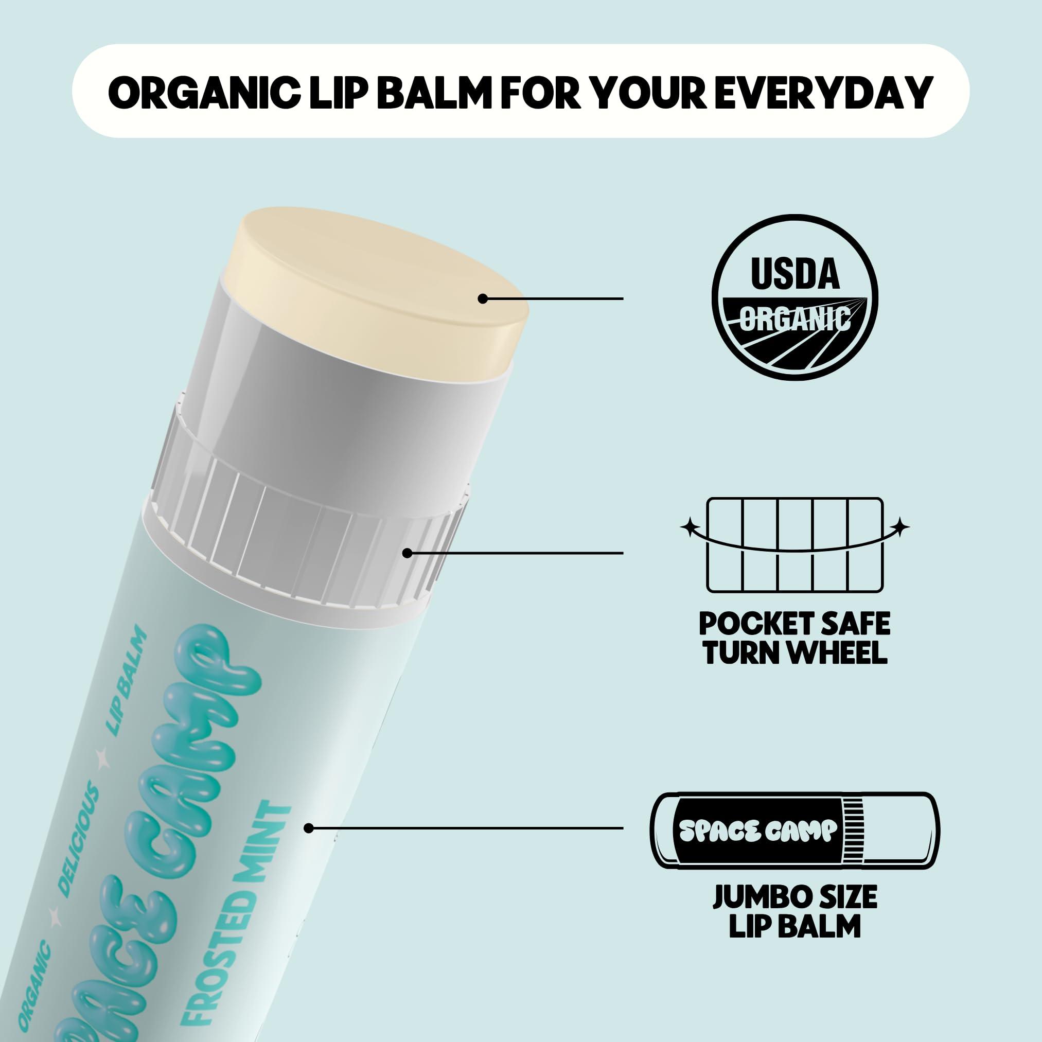 Space Camp Space Camp Wellness Jumbo Lip Balm - Frosted Mint Organic Flavored Balm (2 Pack)