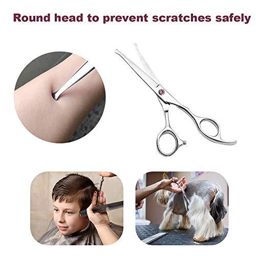 Lplpgg Hair Cutting Scissors Set Professional Kids/Women/Men 6.5 inch Saftey Round Head Hair cut Scissors Kit with Cutting Scissors Thinning Scissors Hairdressing Shears Set for Barber Salon ?red?
