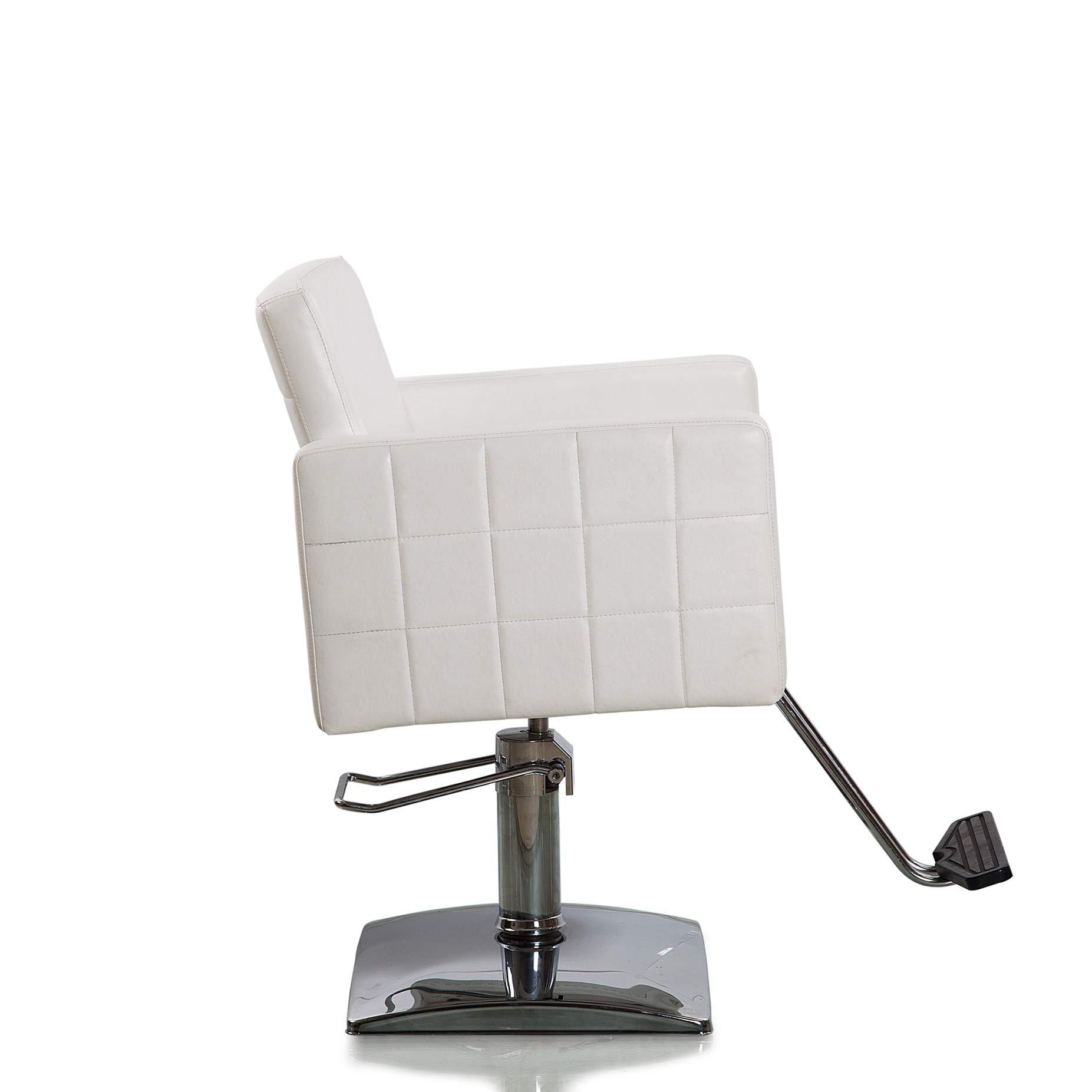 Beauty Style Beauty Style Styling Chair Salon Barber Chair Beauty Chair for Hair Stylist Salon Equipment White