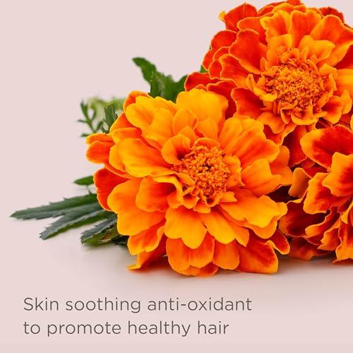 Hairitage Hairitage Restart Button Scalp Exfoliator for Dry and Sensitive Scalp - Promote Scalp Health - Clarifying Scalp Scrub for Healthier and Stronger Hair