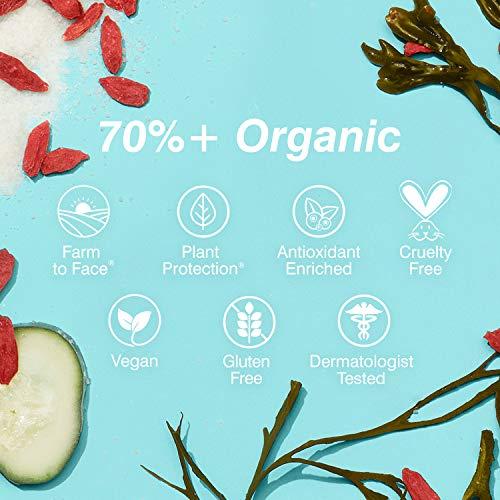 Coola COOLA Organic Pacific Polish Face Exfoliator, Dermatologist Tested Skin Barrier Protection with Coconut Oil, Vegan and Gluten Free, 3.4 Fl Oz