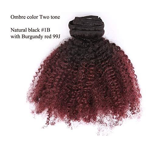 Loxxy Afro Kinky Clip Ins Human Curly Hair Clip In Extensions 3C 4A 4B Natural Afro Kinkys Curly Hair Extensions Clip In For Black Women Two Tone Ombre Color 8A Grade Afro Curly Clip Ins #1b/99j 20 Inch