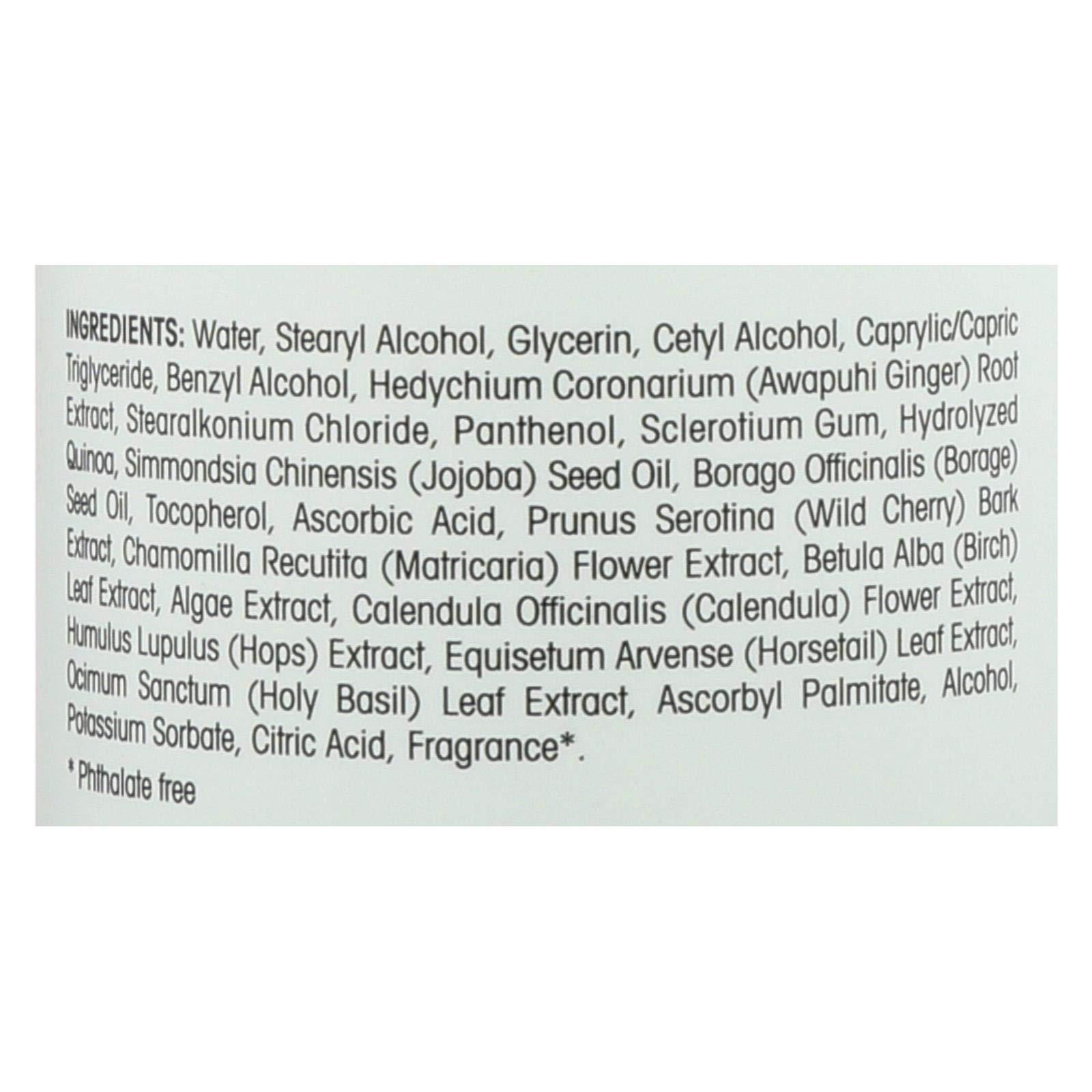 Nature's Gate Nature's Gate Volumizing Conditioner, Awapuhi Ginger + Holy Basil 18 oz