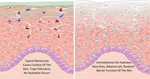 AminoGenesis AminoGenesis Therapeutic Facial Repair w/SYTHE'6 1.7 oz Anti Aging, Moisturizer, Peptide, Amino Acids, Collagen, Elastin, Wrinkle, Dark Spot, Dry, All Skin Type Cream, Skin Renewing