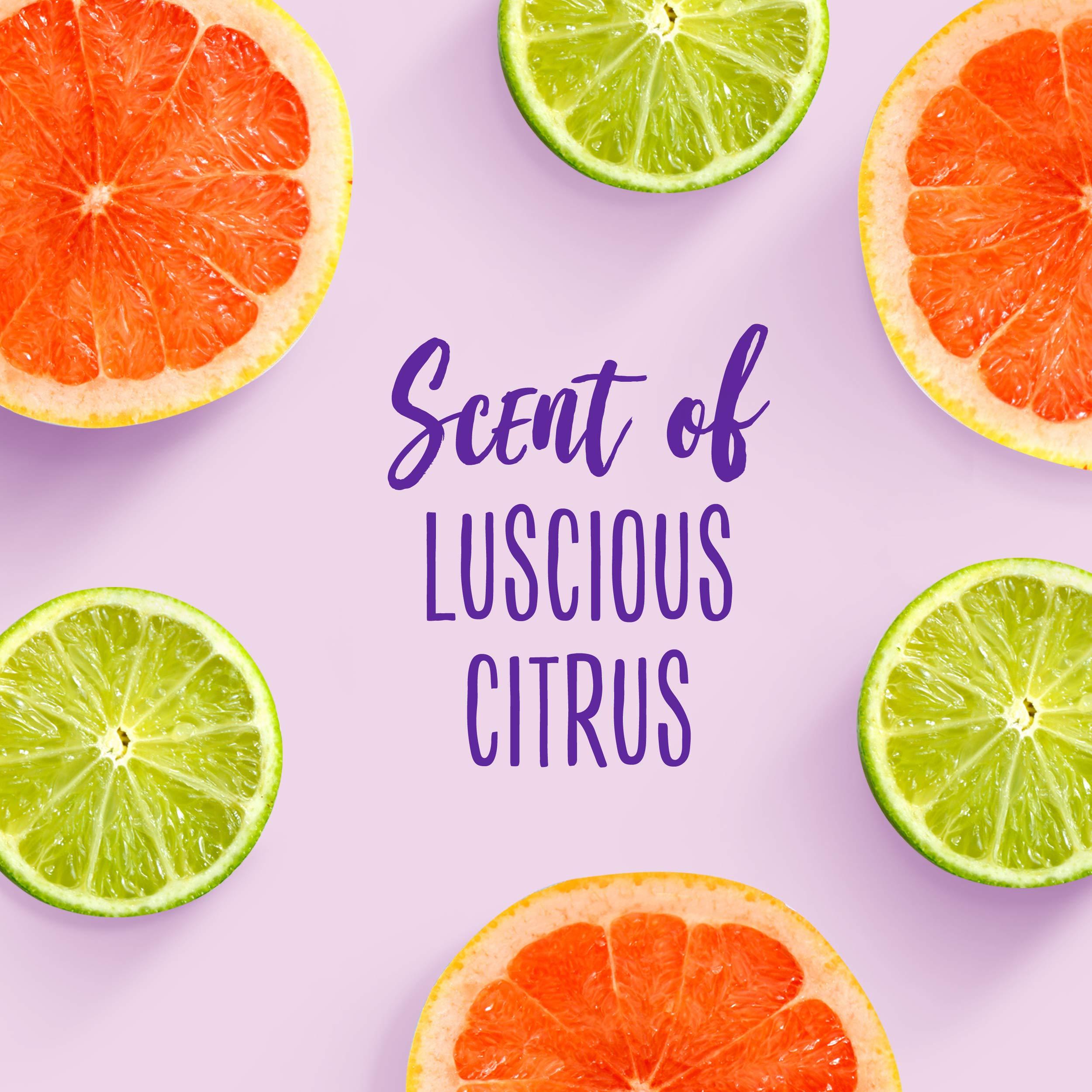 Aussie Aussie For Dry Hair Paraben-Free Miracle Moist Conditioner With Avocado & Jojoba, 30.4 Fluid Ounce, 4 Count