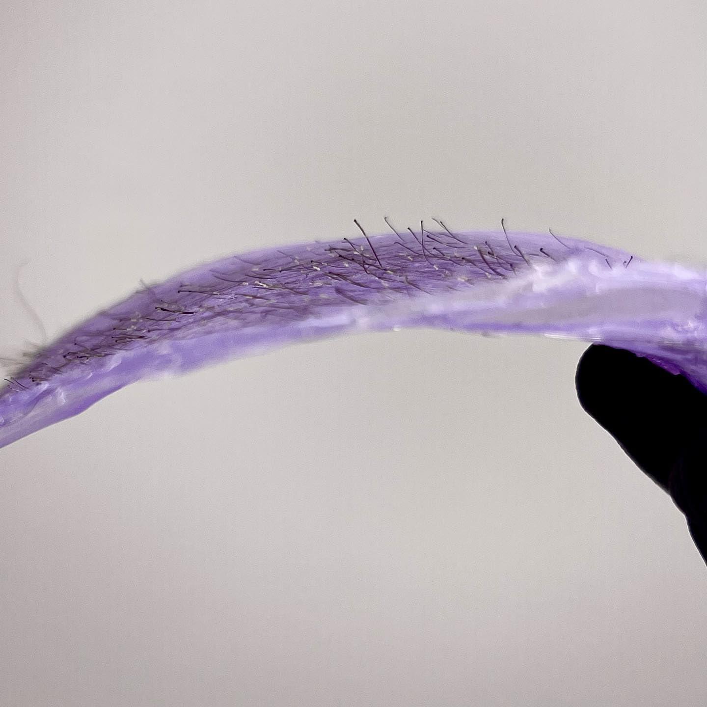 Wax Wax Wax Wax - Hard Wax Beads (1.1lb/500g) - Hypoallergenic & Natural Polymer - Pain-Free, Low Temperature, No Strips Required, Hair Growth Prevention & Easy to Remove. (Orchid - Hypoallergenic)