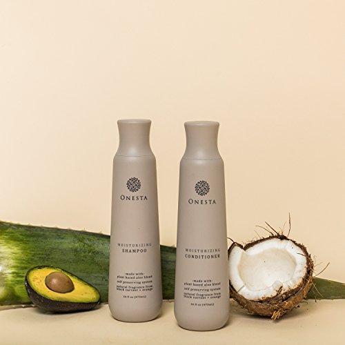 Onesta Hair Care Onesta Hair Care Plant Based Moisturizing Conditioner for Dry and Damaged Hair, 16 Ounces