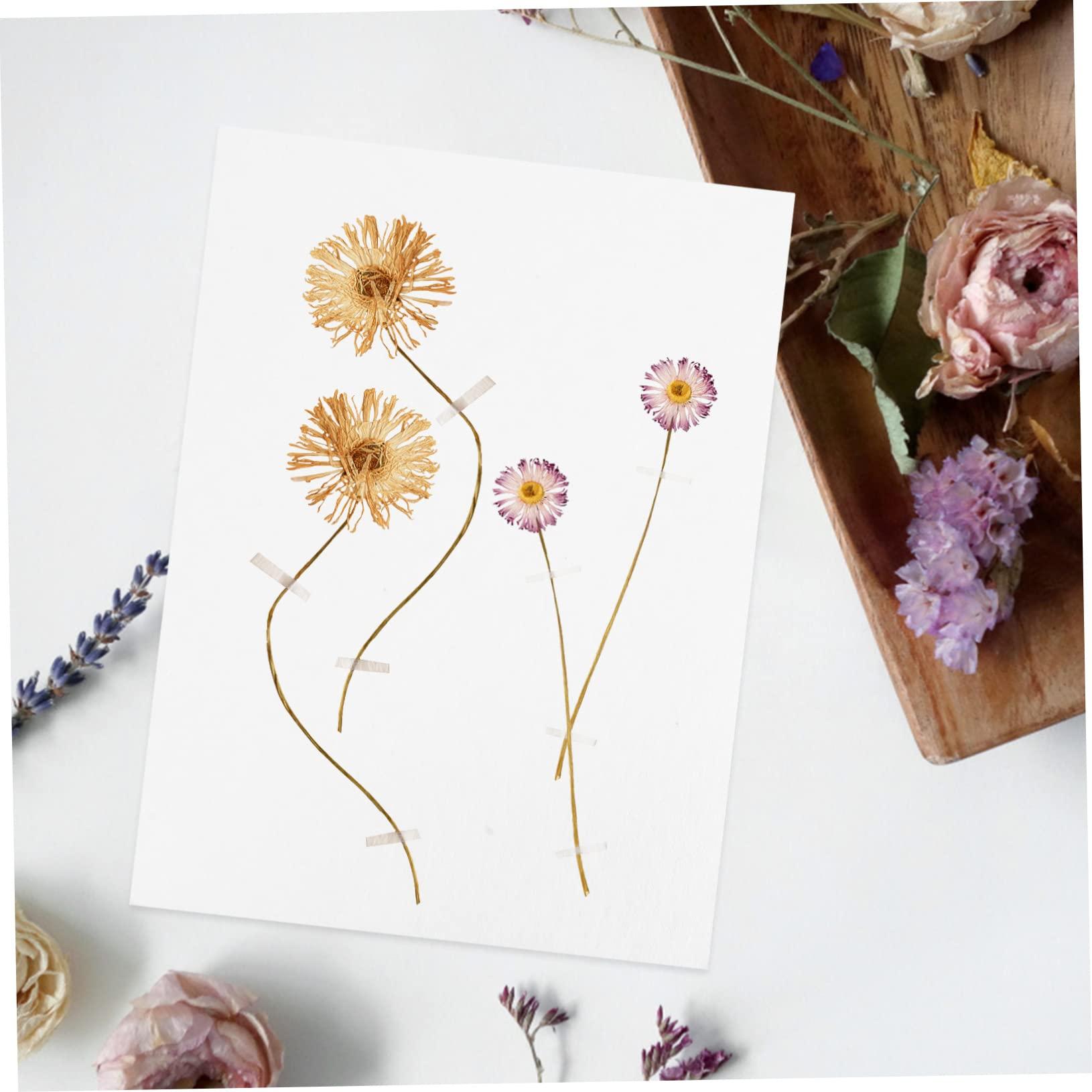 minkissy minkissy Diy Dried Flower Press Board Set 6pcs Blotter Paper Herbarium for Flower Pressing Art Craft
