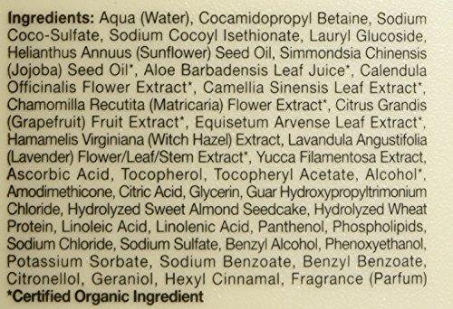 JASON Jason Shampoo, Strong & Healthy Jojoba and Castor Oil, 16 Oz