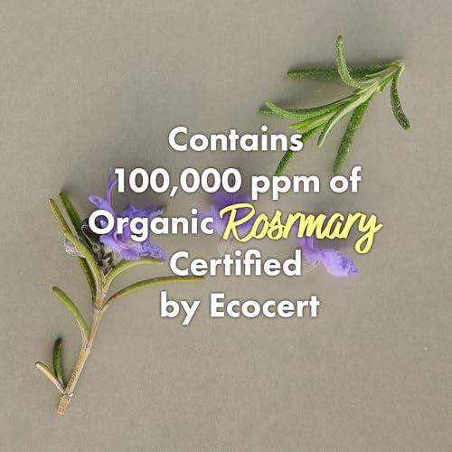 RATED GREEN RATED GREEN Cold Brew Rosemary Balancing Scalp Pack w/ Charcoal | Korean Hair Conditioning Mask | Deep Conditioning Hair Mask for Dry Damaged Hair | Hydrating Hair Mask Pack of 5, 1.69 Fl. Oz