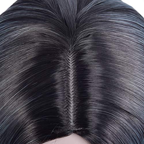 BERON BERON Black to Blue Wigs Straight Long Wig for Women 24'' Wigs Middle Part Cosplay Wig Halloween Party or Daily Use Wig Cap Included
