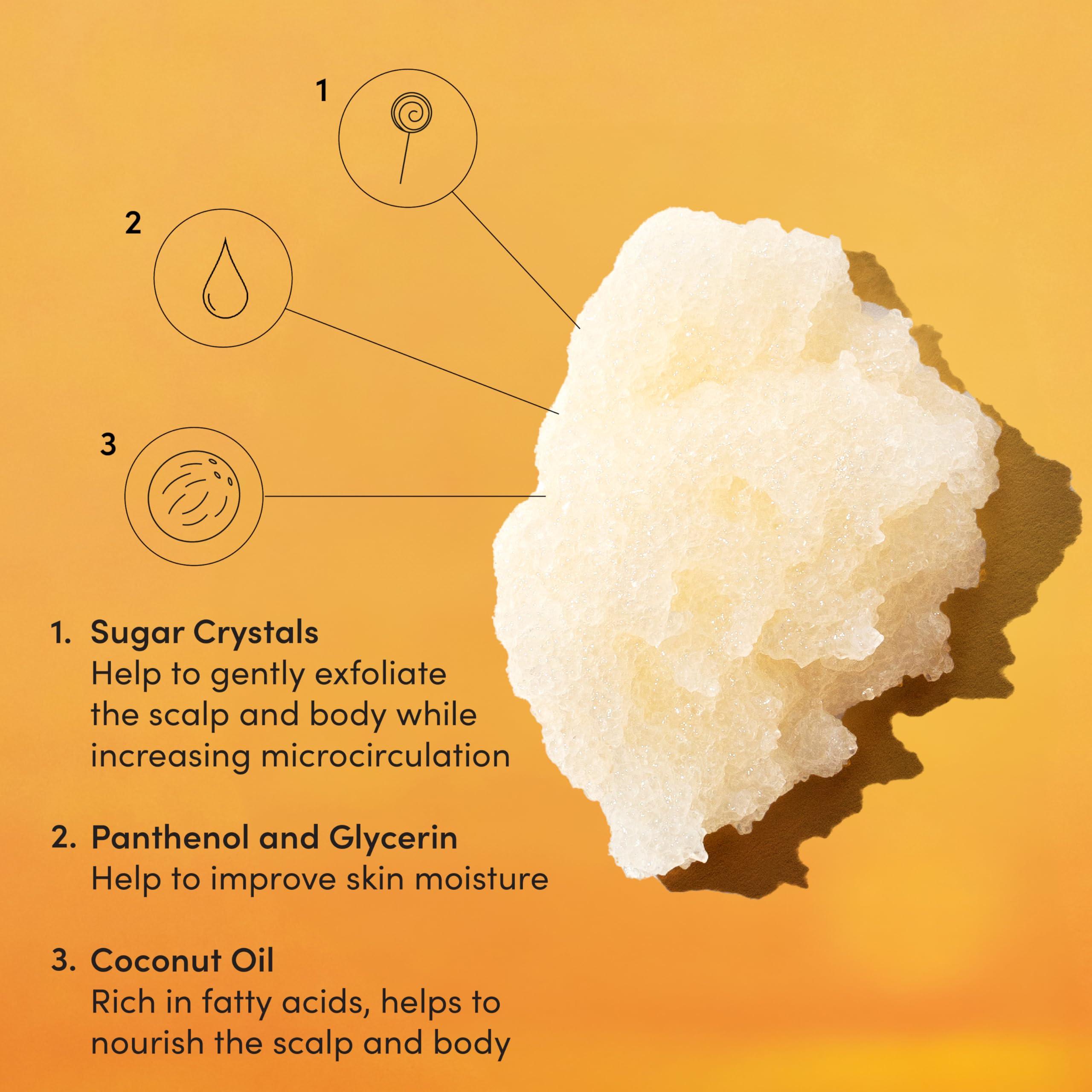 OUAI OUAI Scalp & Body Scrub, St. Barts - Exfoliating Body Scrub with Sugar & Coconut Oil Blend for Smooth, Moisturized Skin - Gentle Scalp Scrub for Removing Product Build Up (8.8 Oz)