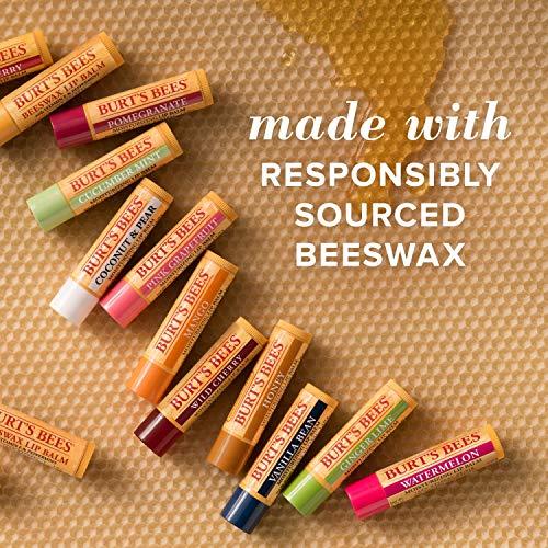 Burt's Bees Burt's Bees 100% Natural Moisturizing Lip Balm, Coconut & Pear and Mango with Beeswax & Fruit Extracts - 2 Tubes, 2 Fl OZ