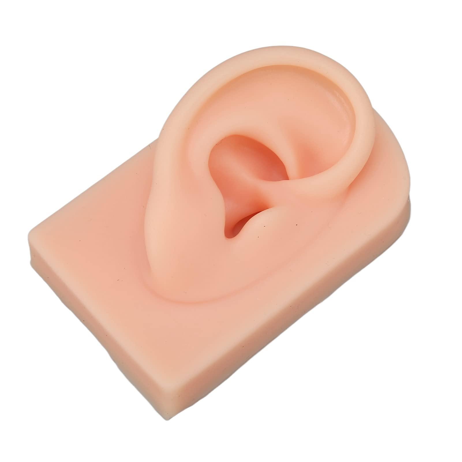 FILFEEL 3D Nose & Mouth Model, Silicone Ear Model Simulation Display Props for Piercing Suture Practice (Light Skin Colour)