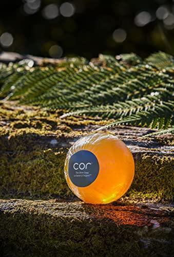 Cor Cor Silver Soap | 100gm | Smart Skincare | Simple One Step Cleansing Bar
