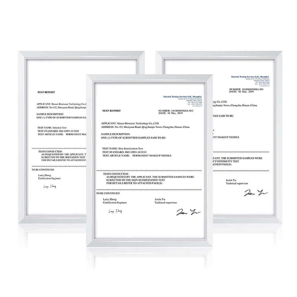 BIOMASER Cartridge Needles – BIOMASER 10PCS Sterilized Permanent Makeup Cartridge Needles Screw Thread Tattoo Needle for Permanent Makeup Machine Tattoo Pen for Eyebrow Eyeliner Lip Contour(5RL-0.25MM)