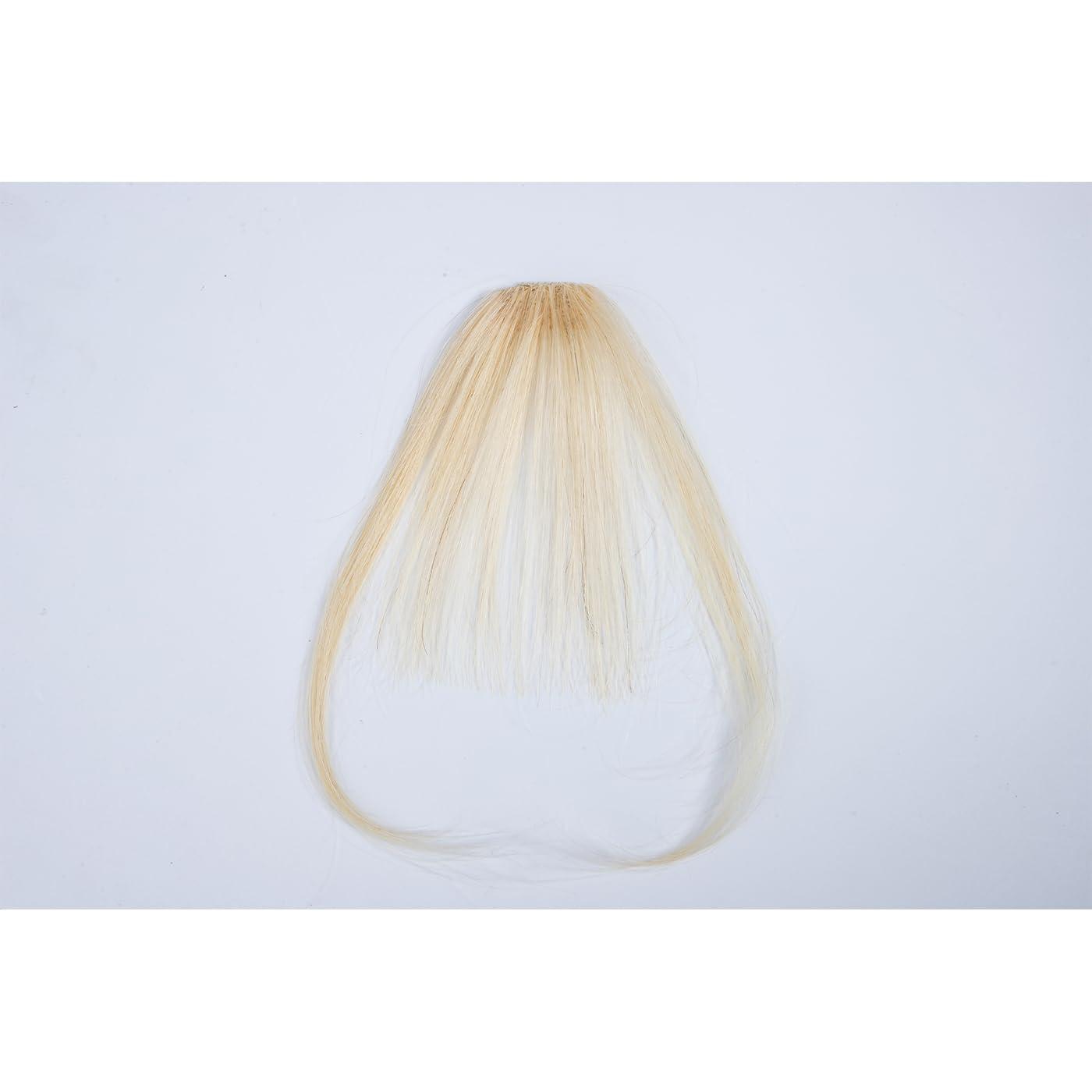 SLEEKALON SLEEKALON Clip in Bangs Human Hair Platinum Blonde Air Bangs Remy Hair Clip On Bang Hairpiece for Women Curved Bangs Hair Clip Fringe with Temples for Daily Wear(#60-Platinum Blonde)