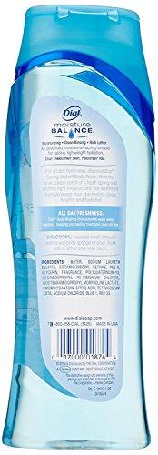 Dial Dial Body Wash, Spring Water, 16 Fl. Ounces (Pack of 2)