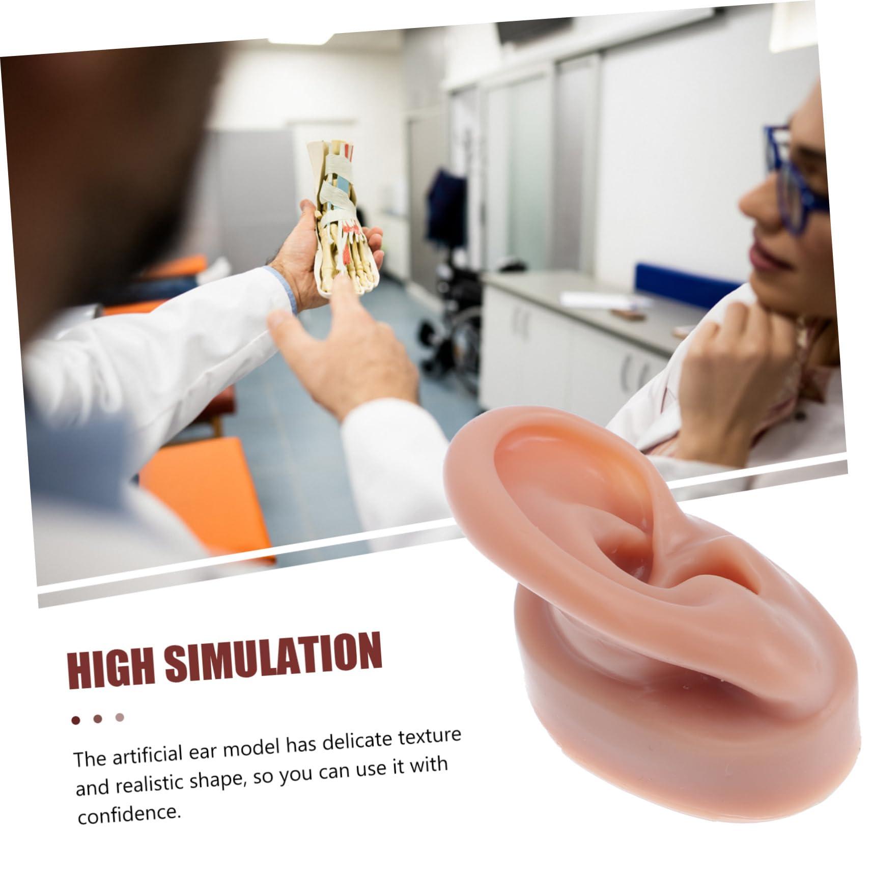 BIUDECO BIUDECO 1pc Human Ear Model Ear Picker Headphones Ear Defenders Ear Practice Model Reusable Earwax Symmetry Ear Cleaning Loop Lanyard Vibes Earphones Coffee