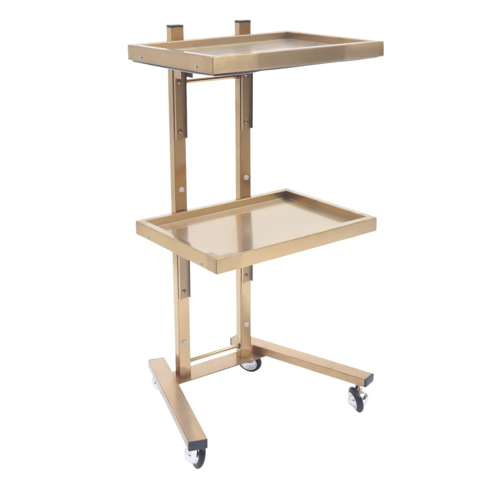 EurHomePlus Salon Tray on Wheels with 2 Tiers, Tattoo Shop Collapsible Utility Carts Stainless Steel Salon Storage Stand, Foldable Gold/Silver Organizer with Wheels (Gold)