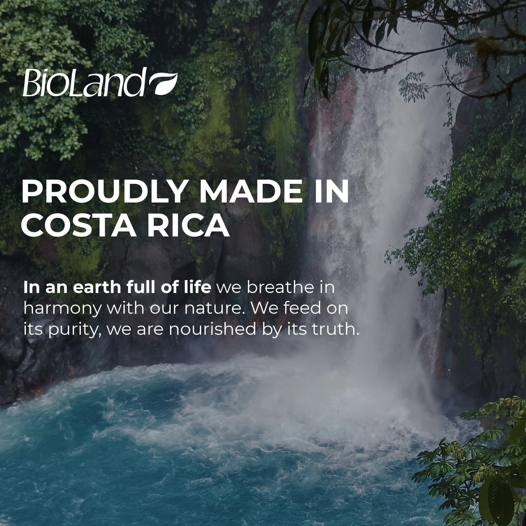 Bioland Bioland Keratin Oil Shampoo and Conditioner Bundle - Ultra-Concentrated Hair Care for Treated & Straight Hair (13.53 fl oz each)