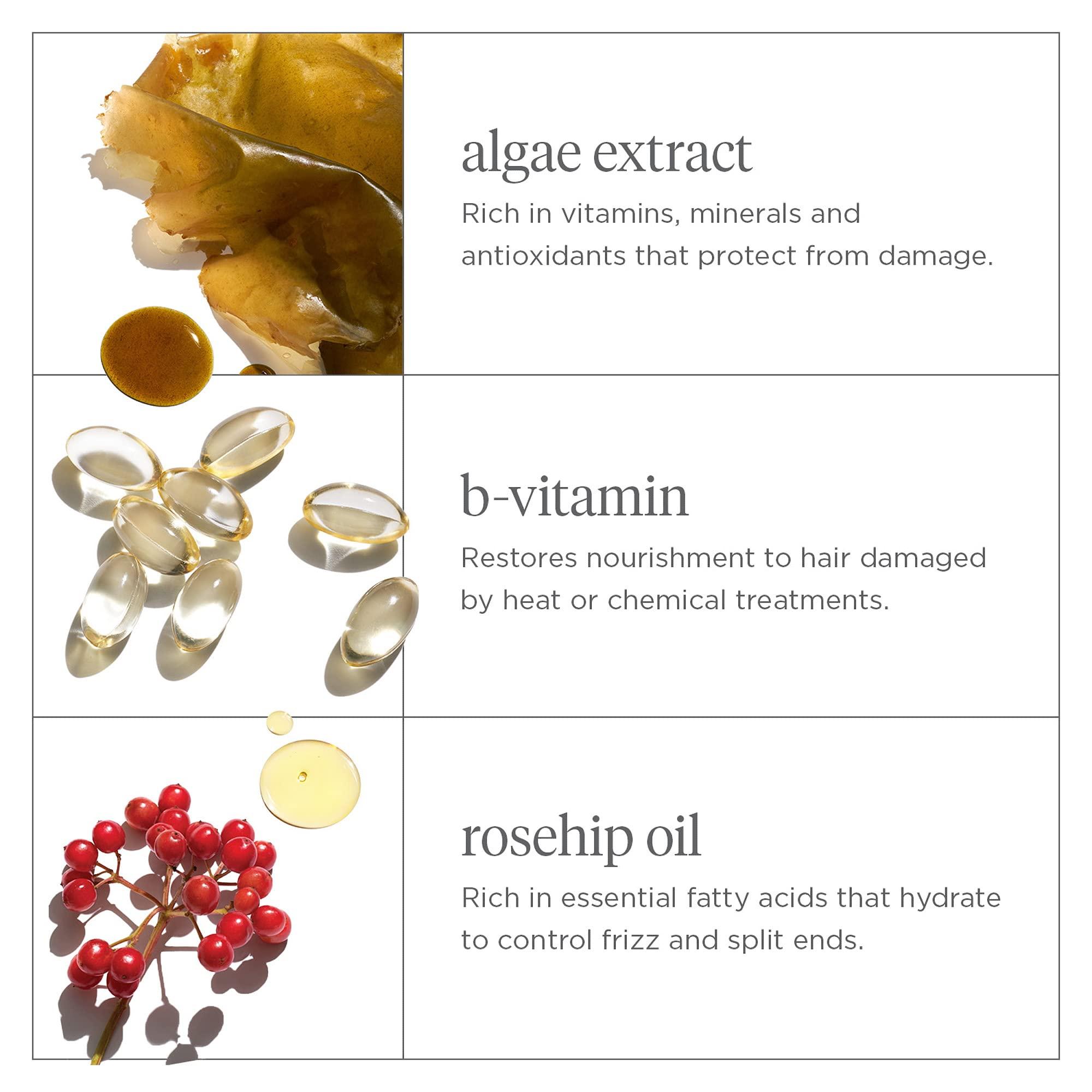 Briogeo Briogeo Don\'t Despair, Repair! Super Moisture Shampoo, Dry Damaged Hair, Hair Shampoo with Argan Oil for Hair, Hair Moisturizer Hair Treatment, Protein Shampoo, Vegan, Cruelty-Free, 2 fl oz